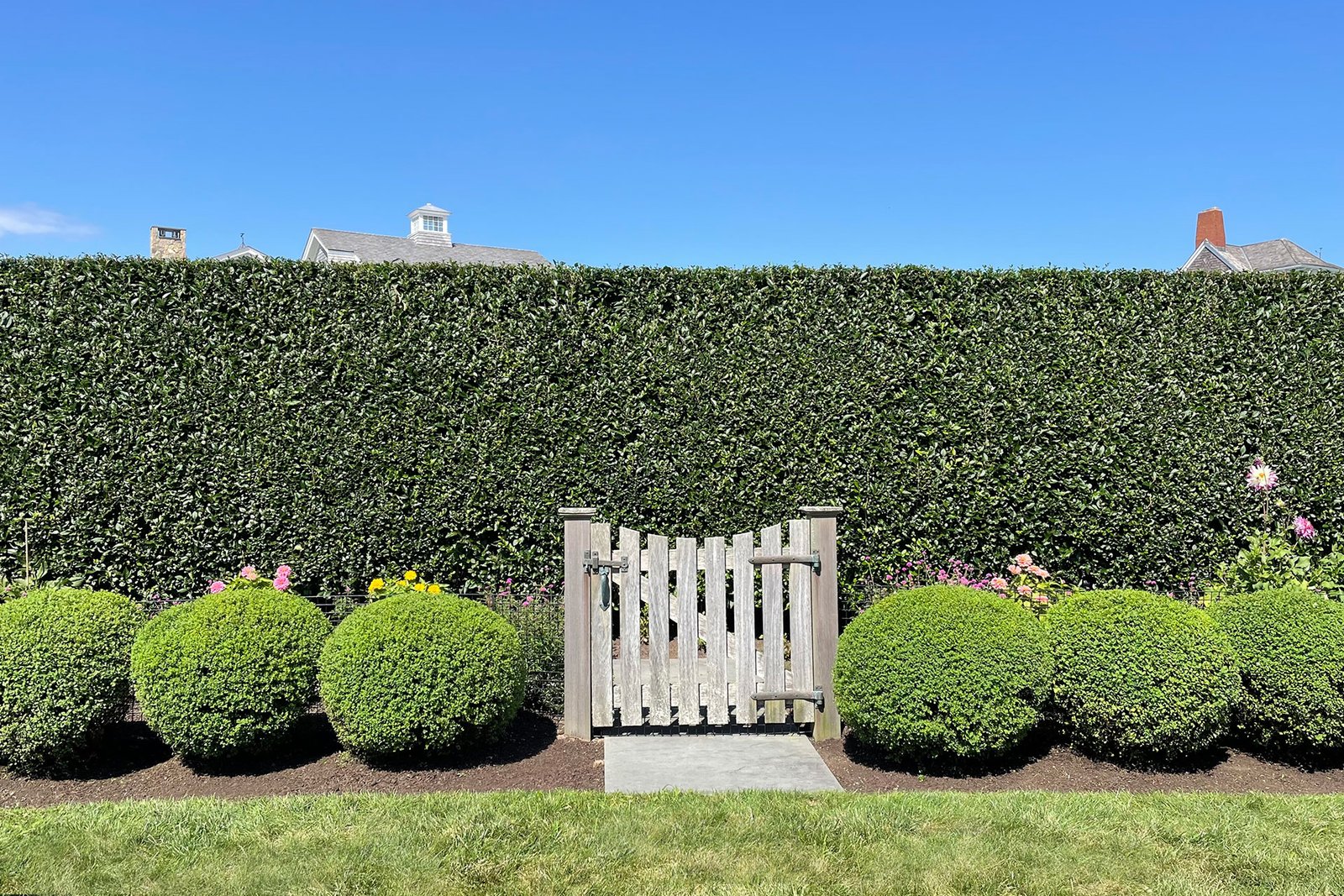 A formal privacy hedge forms a living green wall at the garden gate, creating enclosure, screening, and a clear transition between outdoor rooms.