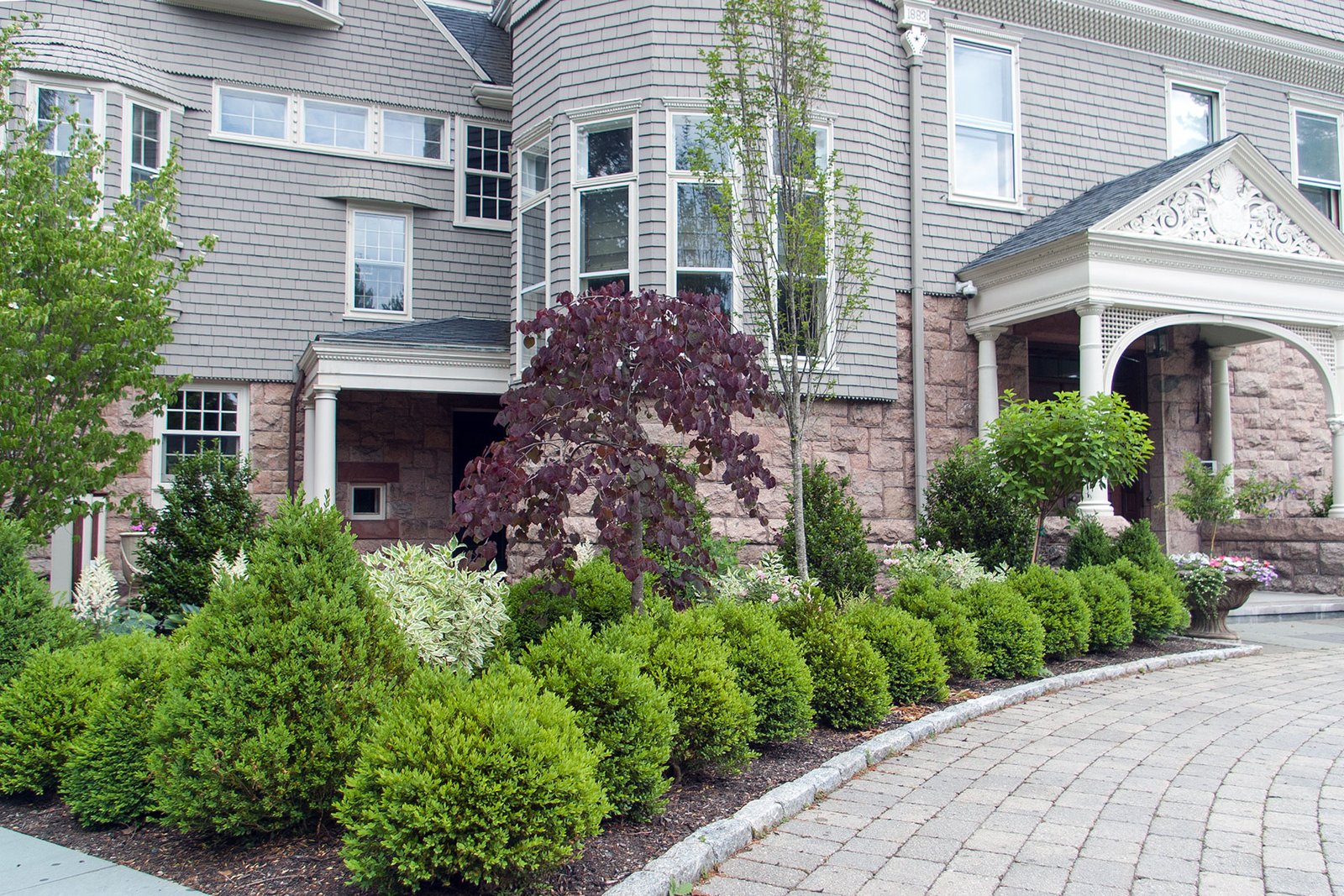 Wellesley, MA - Foundation shrubs trace a curved walkway, guiding movement while softening the home’s base with layered greenery and refined proportions.