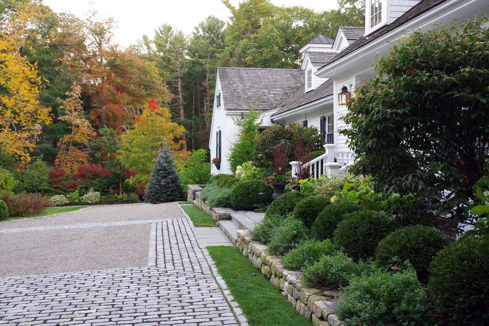 Layered evergreen shrubs line this stone wall along the driveway edge, providing dense screening, rich green color, and a soft transition between hardscape and planting throughout the seasons.