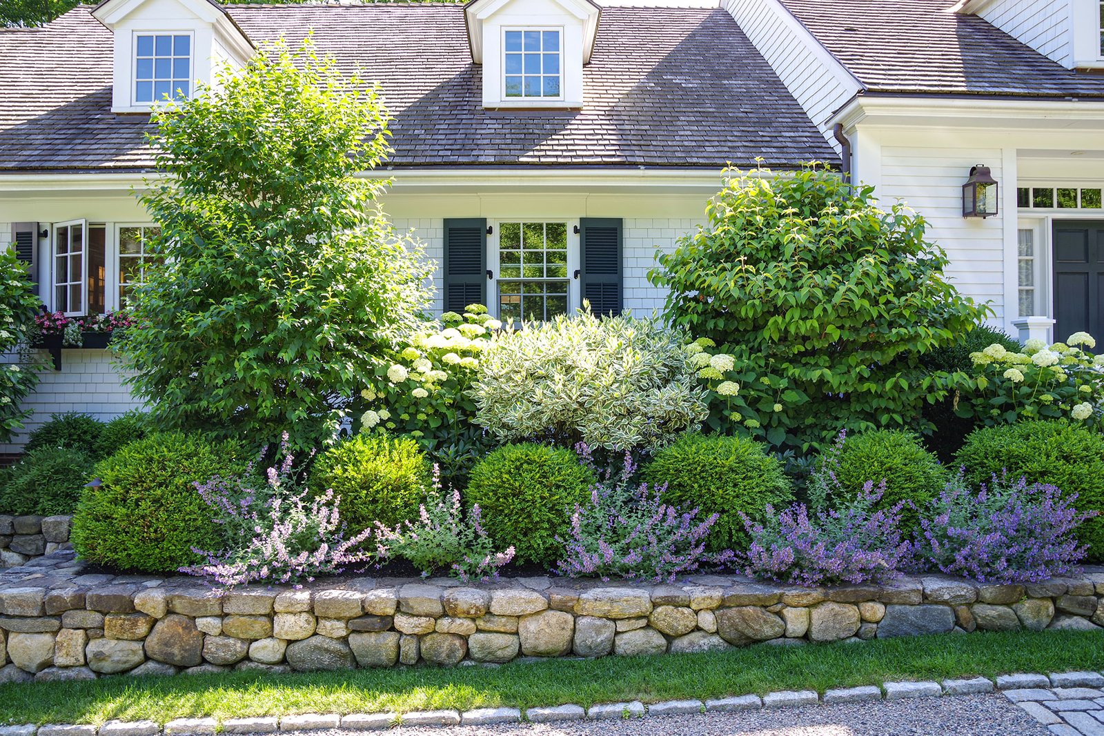 A mixed shrub border softens this stone retaining wall, combining evergreen structure and layered textures to define the front yard while improving drainage and visual depth.