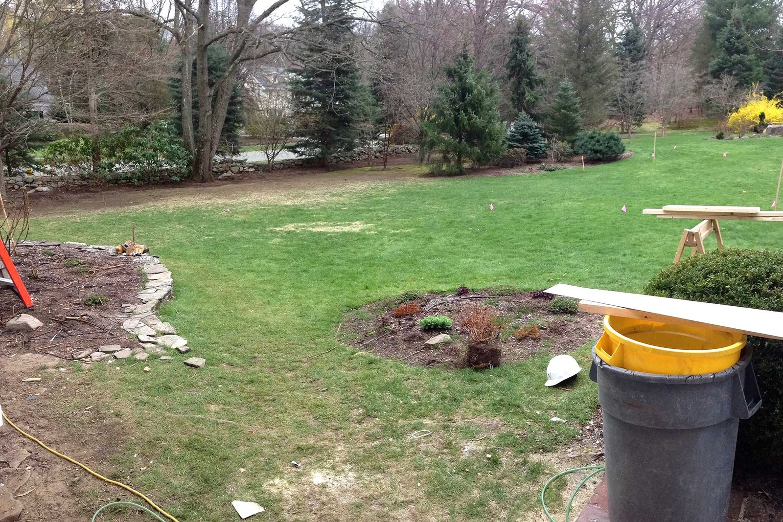 Weston backyard lawn before pool and landscape installation