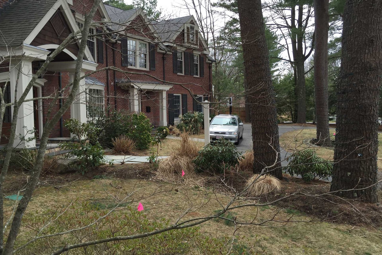 Wellesley Hills front yard with minimal planting before renovation