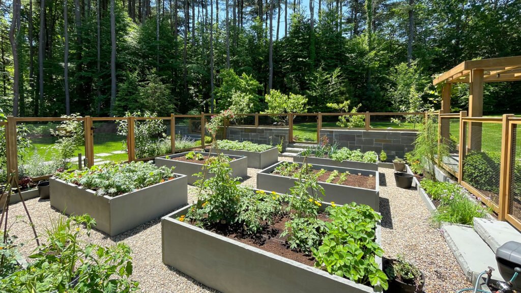 Container vegetable plantings and gravel paths create a flexible garden layout well suited to New England’s compact growing season.