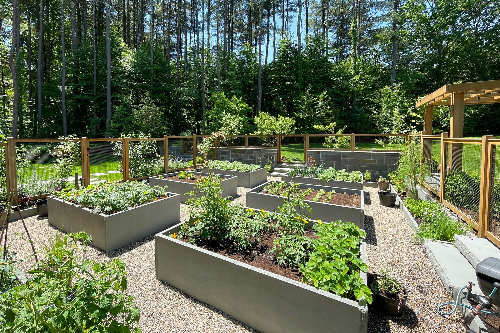 Container vegetable plantings and gravel paths create a flexible garden layout well suited to New England’s compact growing season.