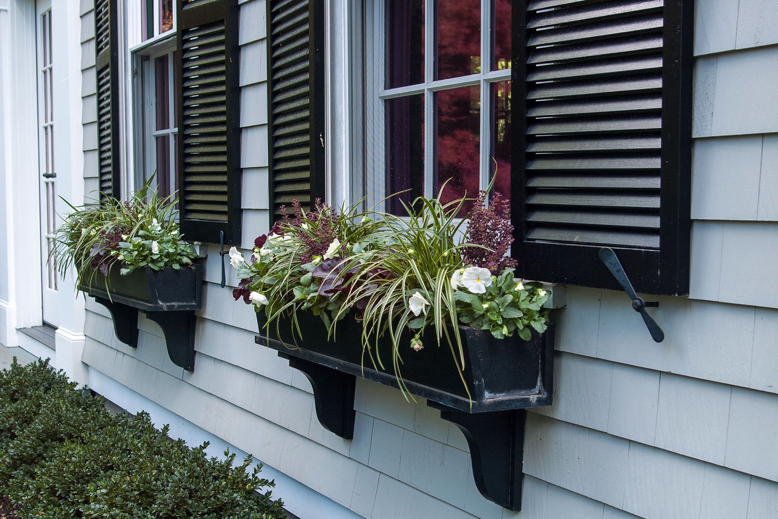Black metal window boxes filled with ornamental grasses, white annuals, and burgundy foliage, complementing a traditional Weston, MA New England façade.