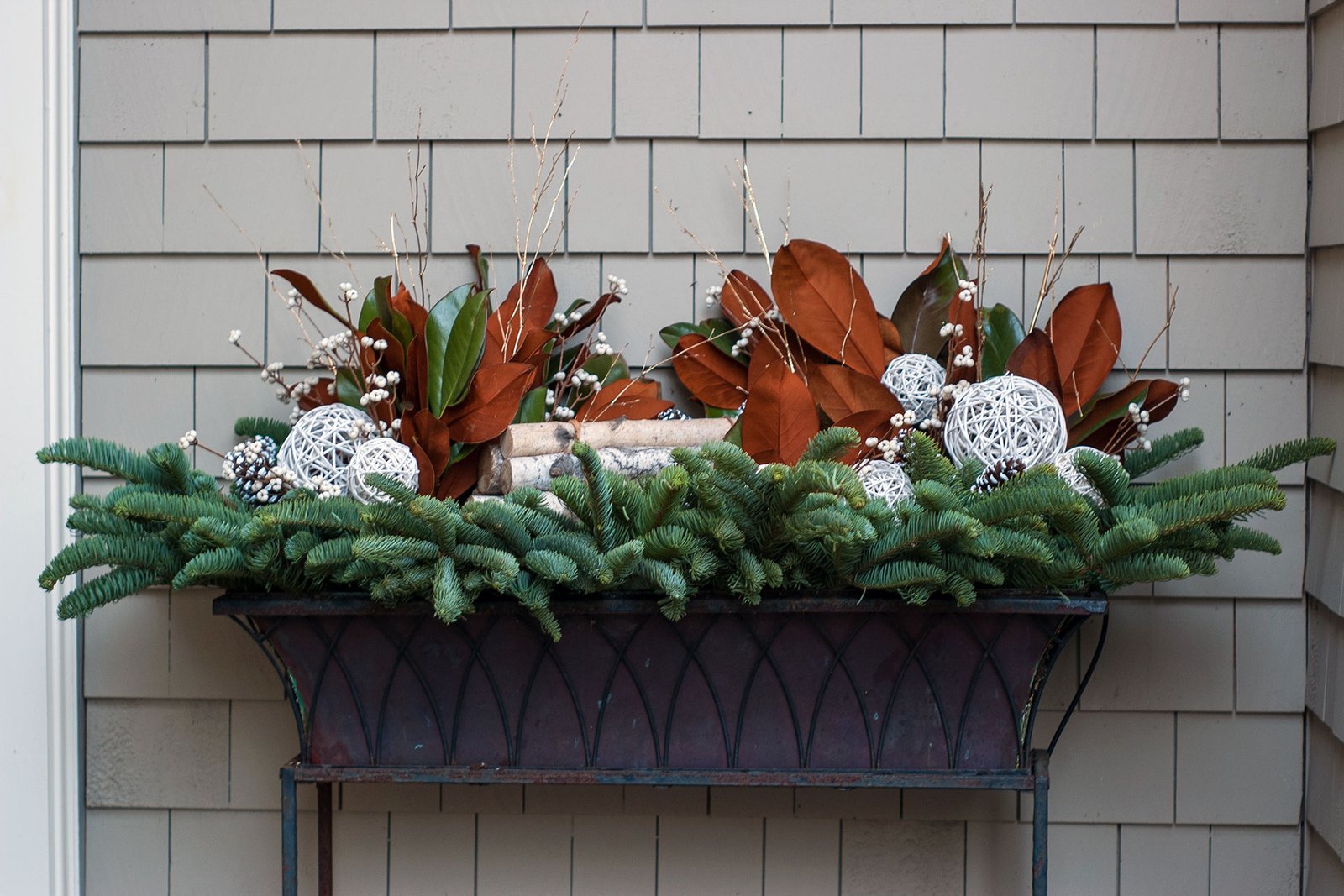 New England winter window box filled with evergreen boughs, magnolia leaves, birch branches, white berries, pinecones, and decorative white spheres.