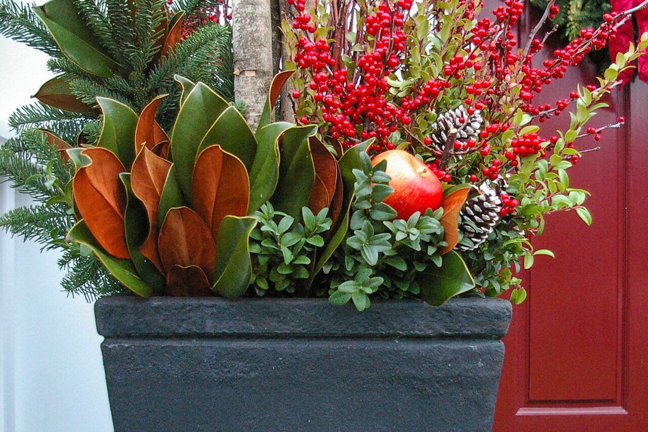 Front entry decorated with a winter planter filled with evergreen branches and red berries beside a classic holiday doorway.