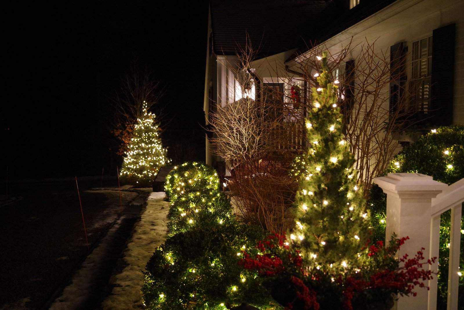 Warm white lights illuminate evergreens along a Wellesley front walkway, creating a welcoming winter approach to the home.