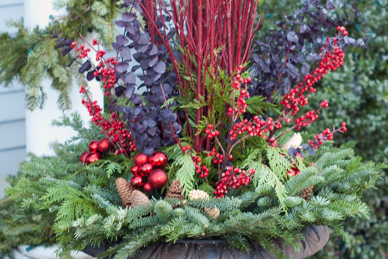 A classic winter urn planter combines red-twig dogwood, fresh evergreens, and natural seasonal accents for a colorful New England entry display.