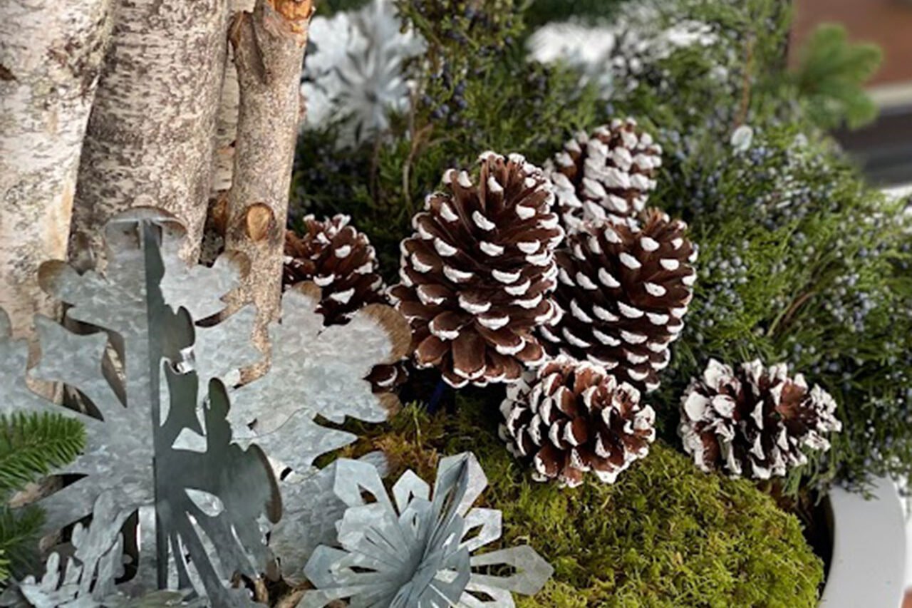 A crisp winter container at a Wellesley front entry combines birch logs, evergreen boughs, moss, snow-dusted pinecones, and metallic botanical accents for a refined seasonal display.